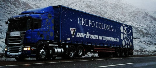 Grupo-Colonia-flota-01